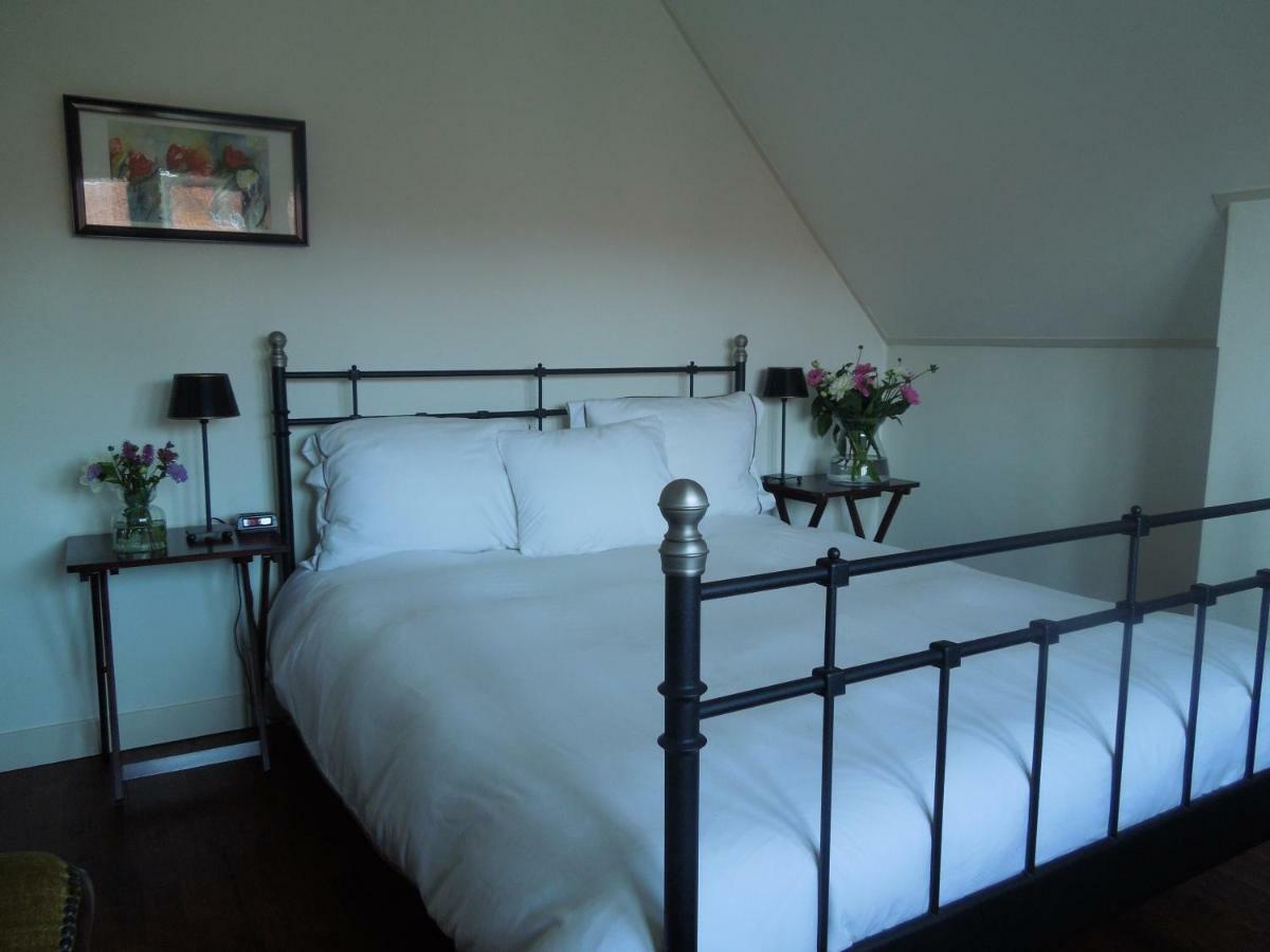 Bed & Breakfast Frans Hals Haarlem Esterno foto