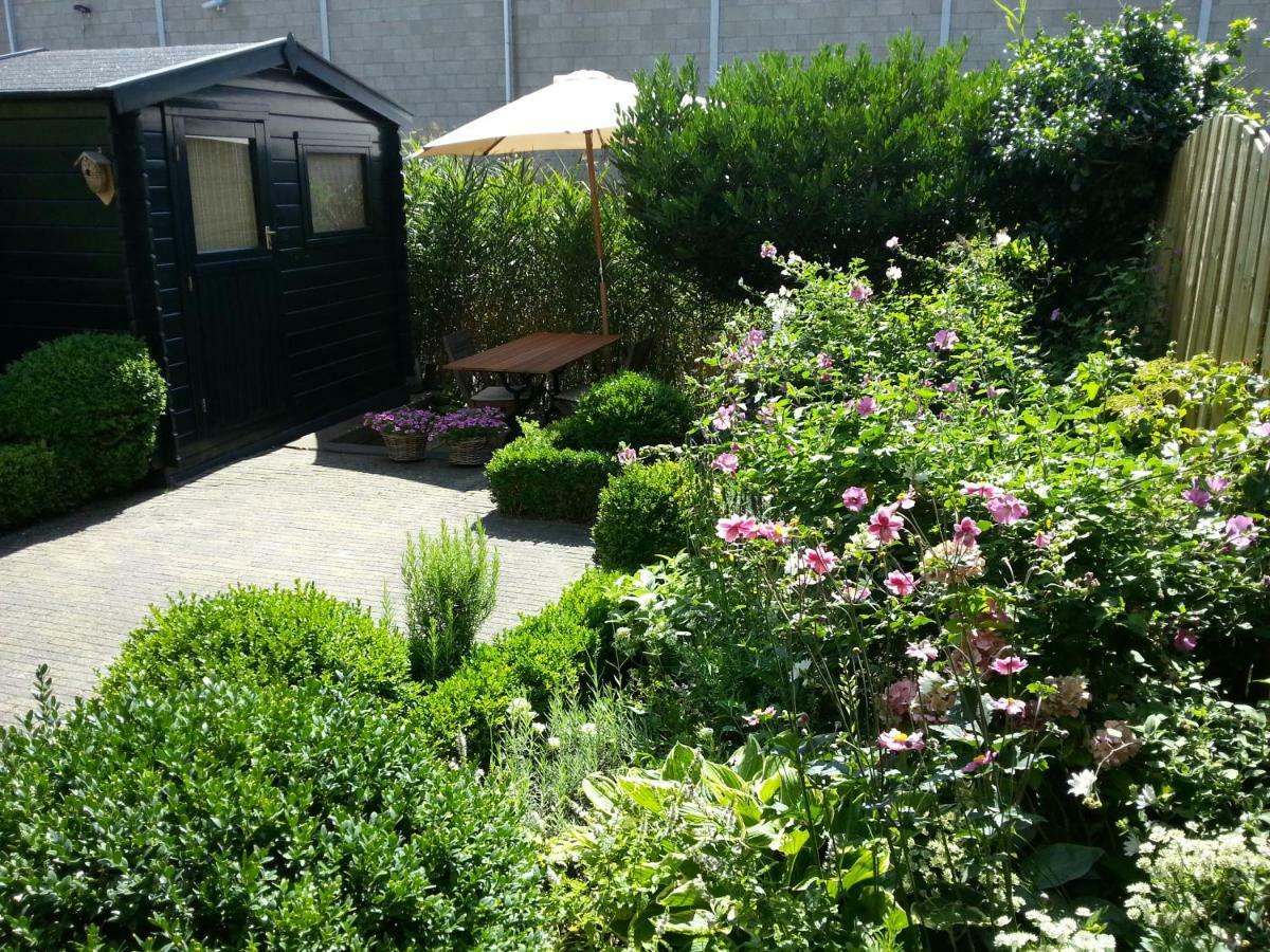 Bed & Breakfast Frans Hals Haarlem Esterno foto